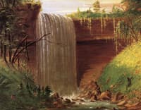 The Little Falls, near the Falls of St. Anthony