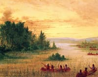 Ojibbeway Indians Gathering Wild Rice