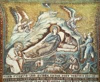 Scenes from the Life of Mary ~ Birth of Jesus