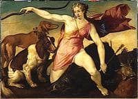 Diana hunting