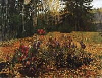 Withering Asters