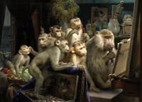 Monkeys and painting
