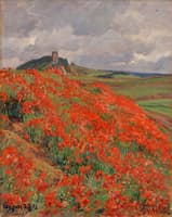 Poppies in Kerpen