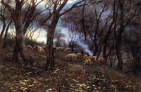 Olive Grove