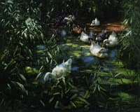 Ducks in the Reeds