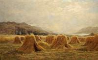 Harvest Time near St Fillans, Perthshire