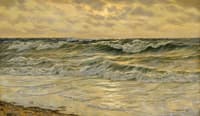 The Surf