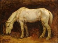 Horse in the Stables