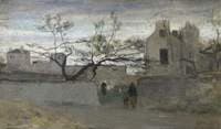 Courtyard Landscape