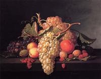 Fruit Still Life