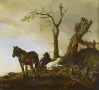 Horse and Dismounted Rider