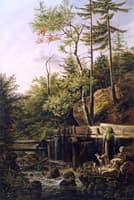 Deer at a Forest Brook