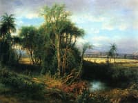 Cuban Landscape