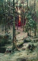 Forest in Winter