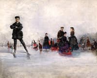 The Skating Party