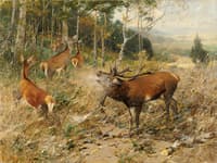 Early Autumn