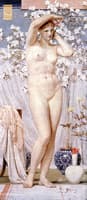 A Venus