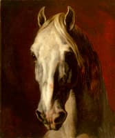 Horse Head
