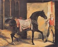 The Horse is out of the Stable