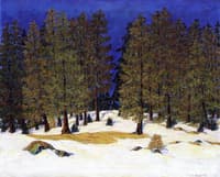 Forest-Spring