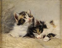 Two Kittens