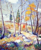 Trees in Autumn