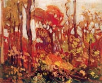 Autumn, Algonquin Park