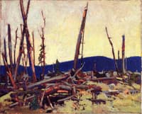 Burnt Land