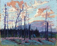 Burnt Land at Sunset