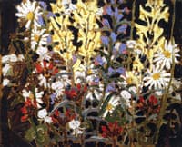 Wildflowers