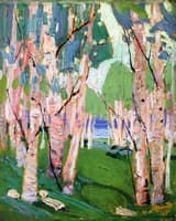 Pink Birches