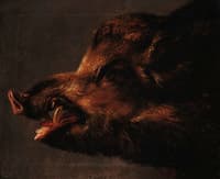 A Boar's Head