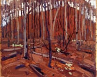 Northern Landscape