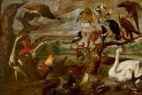A Concert of Birds (I)