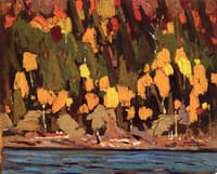 Birches and Cedars