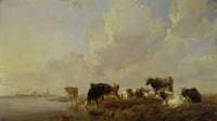 Cattle by a River