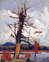 The Dead Pine