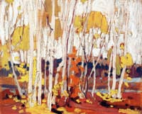 Autumn Birches