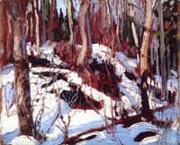 Winter Thaw in the Woods