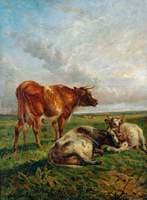 Cattle in Landscape