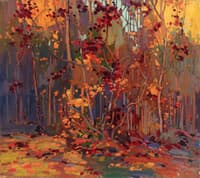 Maple Saplings, October