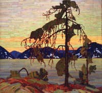 The Jack Pine