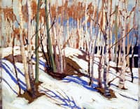Early Spring, Canoe Lake