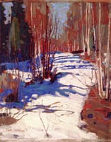 Path Behind Mowat Lodge