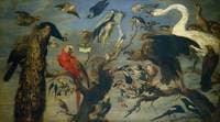 A Concert of Birds