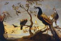 Birds Perched on Branches