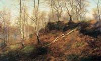 Burnham Beeches, Buckinghamshire