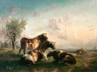 Three Cows and a Bull