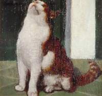 Study of a Cat