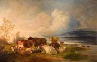 Cattle and Sheep at Rest in a Meadow